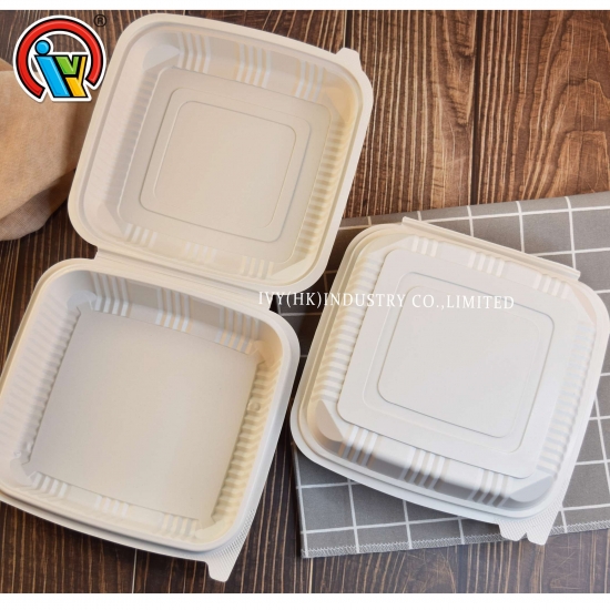 disposable packaging container,biodegradable plastic container,Chinese  Factory,High Quality 